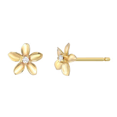 plumeria tropical flower stud earrings