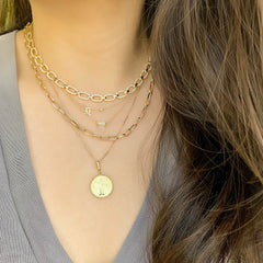 leo petite zodiac necklace